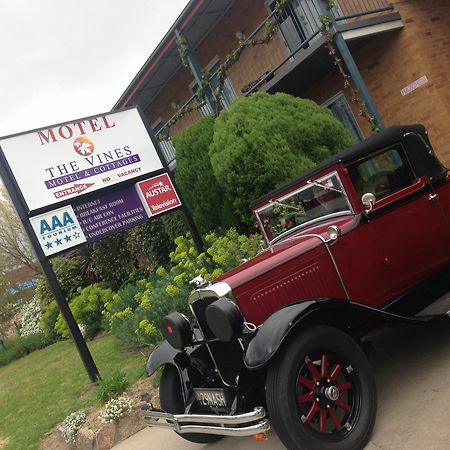 The Vines Motel & Cottages Stanthorpe Luaran gambar