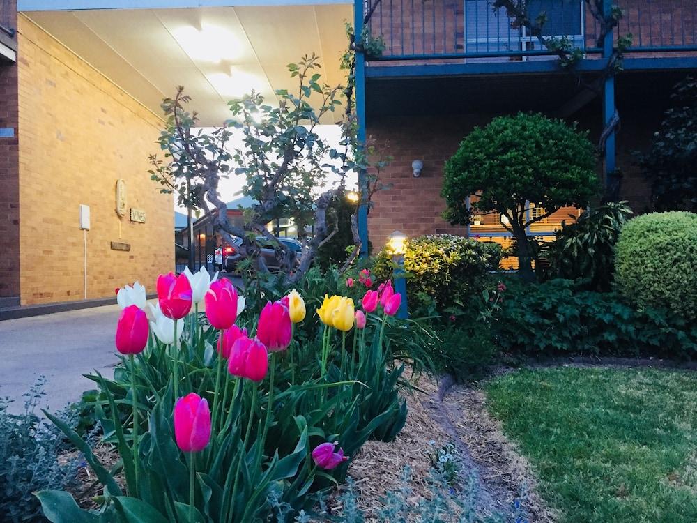 The Vines Motel & Cottages Stanthorpe Luaran gambar