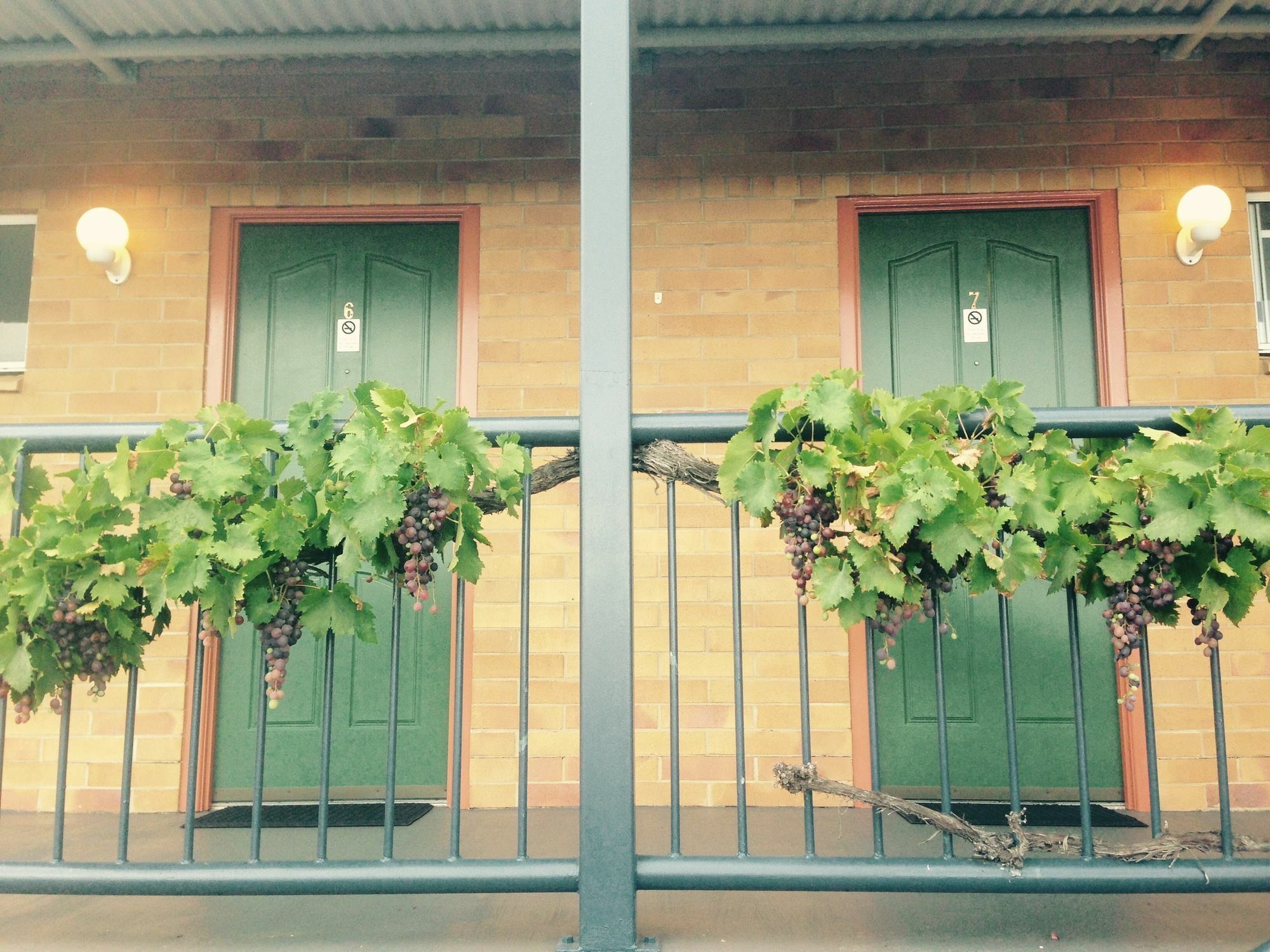 The Vines Motel & Cottages Stanthorpe Luaran gambar
